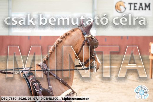 Mintakép 20260307-283
