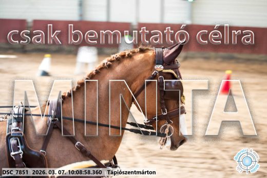 Mintakép 20260307-284