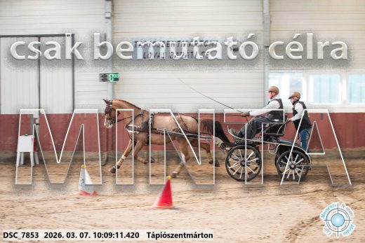 Mintakép 20260307-286