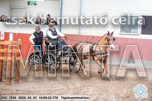 Mintakép 20260307-289