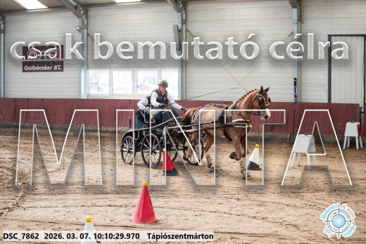 Mintakép 20260307-295