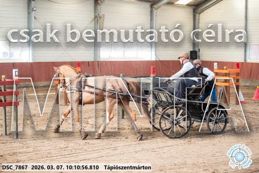 Mintakép 20260307-299