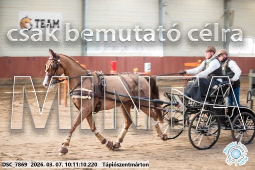 Mintakép 20260307-301