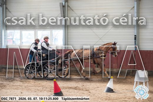 Mintakép 20260307-303