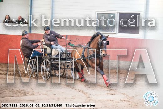 Mintakép 20260307-309