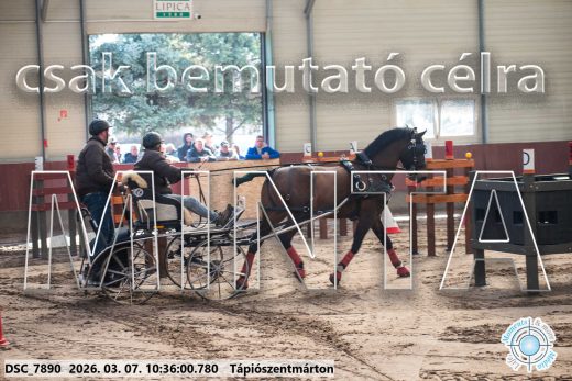 Mintakép 20260307-310