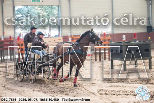 Mintakép 20260307-311