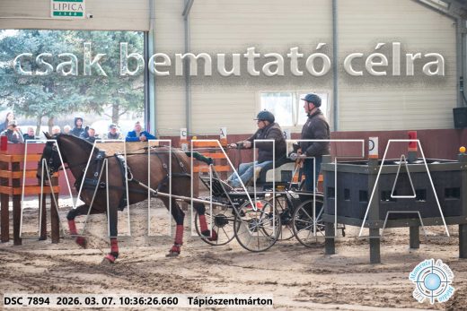Mintakép 20260307-314