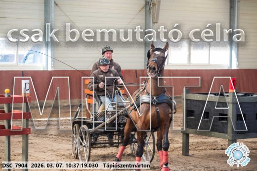 Mintakép 20260307-320