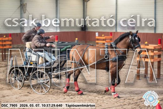 Mintakép 20260307-321