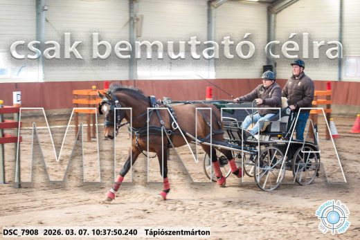 Mintakép 20260307-324