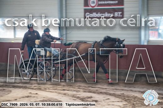 Mintakép 20260307-325