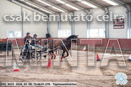 Mintakép 20260308-22