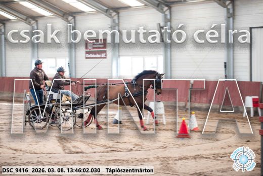 Mintakép 20260308-23