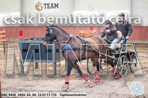 Mintakép 20260308-26