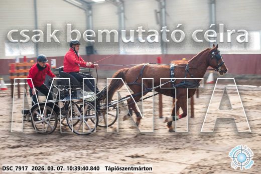 Mintakép 20260307-331