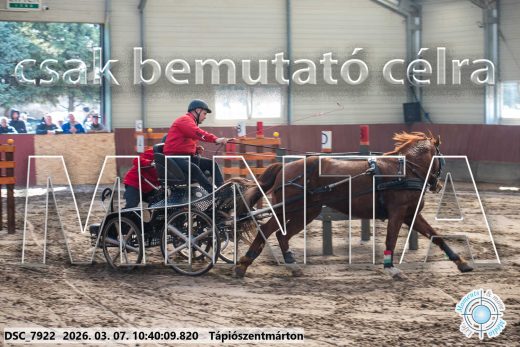 Mintakép 20260307-333