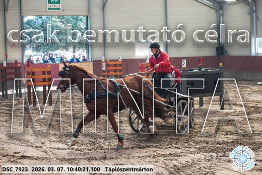 Mintakép 20260307-334