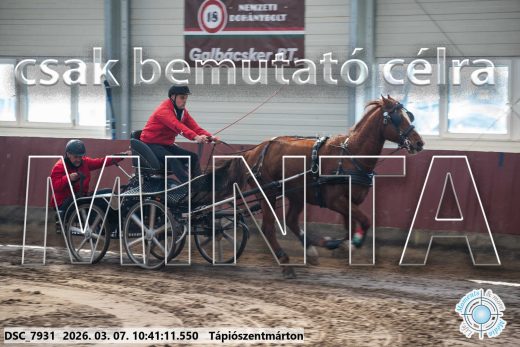 Mintakép 20260307-339