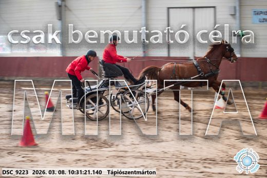 Mintakép 20260308-31