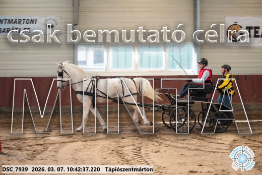 Mintakép 20260307-347