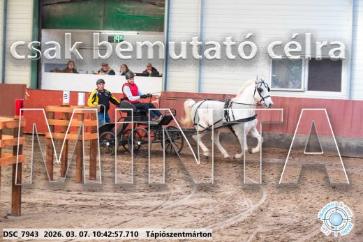 Mintakép 20260307-350