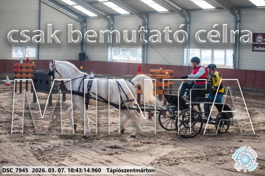 Mintakép 20260307-352