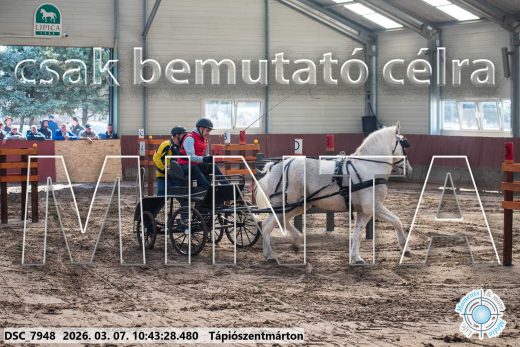 Mintakép 20260307-354