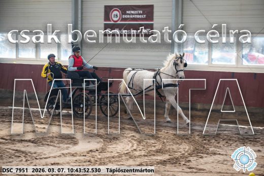 Mintakép 20260307-357