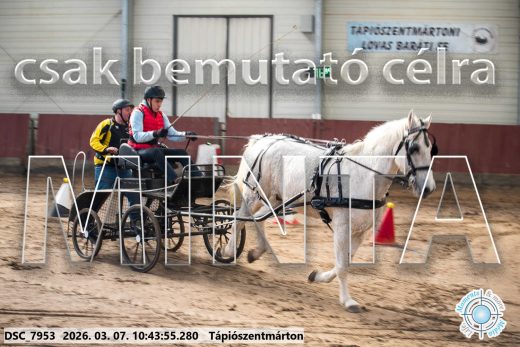 Mintakép 20260307-359