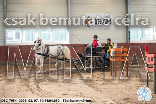 Mintakép 20260307-360