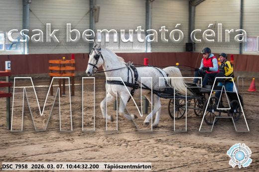 Mintakép 20260307-363