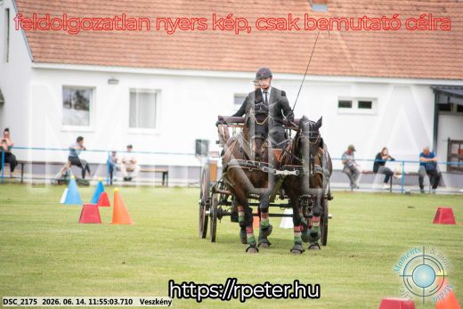 Mintakép 20260614-209