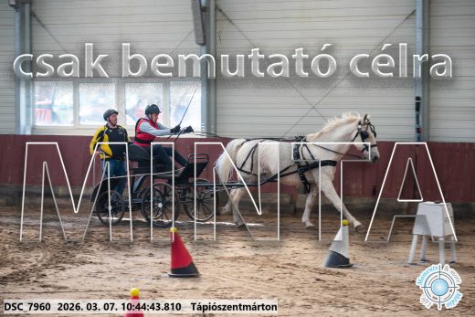 Mintakép 20260307-365