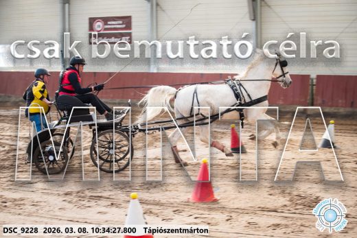 Mintakép 20260308-35