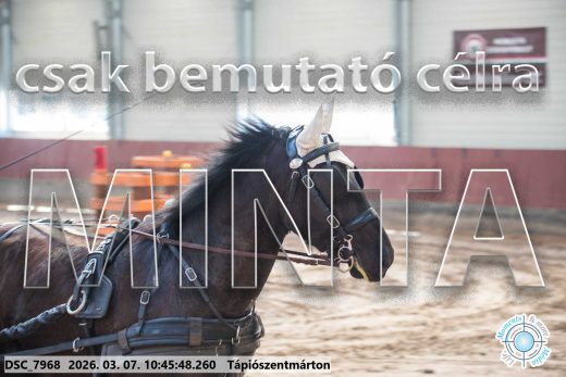 Mintakép 20260307-371