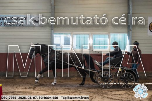 Mintakép 20260307-372