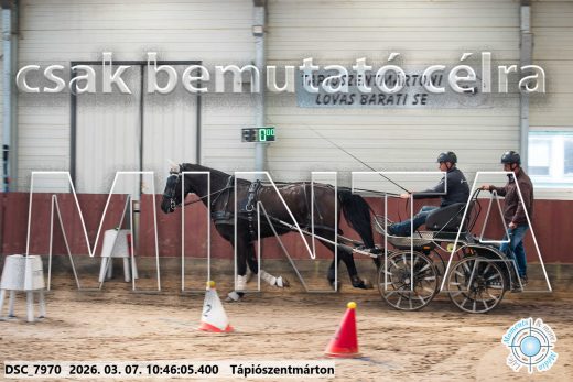 Mintakép 20260307-373