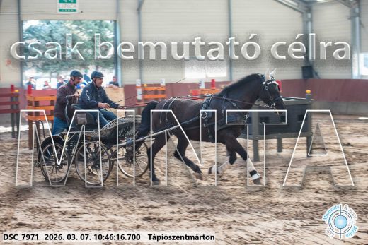 Mintakép 20260307-374