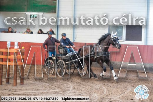 Mintakép 20260307-377