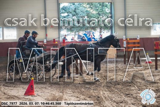 Mintakép 20260307-378