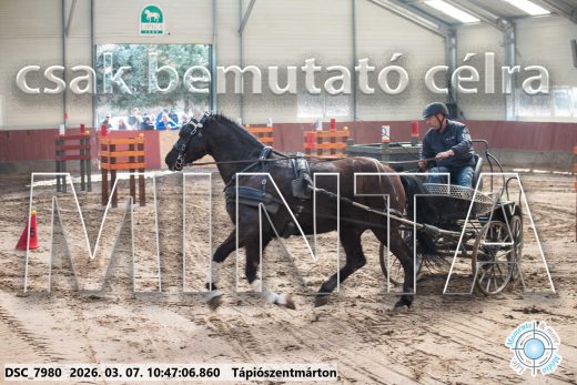Mintakép 20260307-381