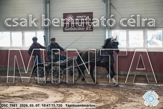 Mintakép 20260307-382