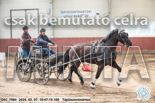 Mintakép 20260307-385