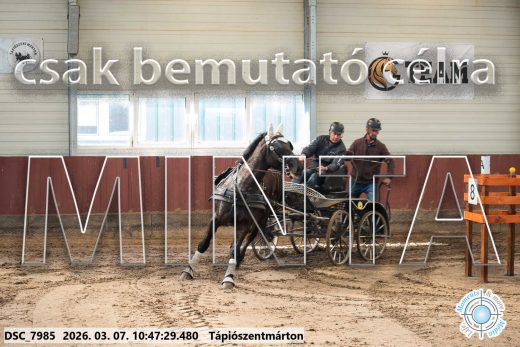 Mintakép 20260307-386