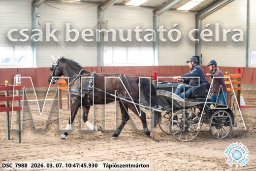 Mintakép 20260307-389