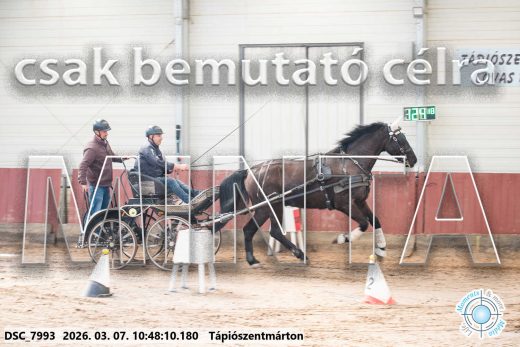 Mintakép 20260307-394