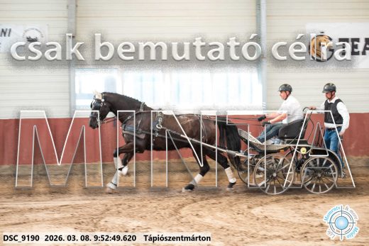 Mintakép 20260308-36