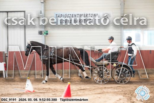 Mintakép 20260308-37
