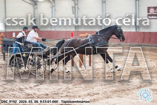 Mintakép 20260308-38